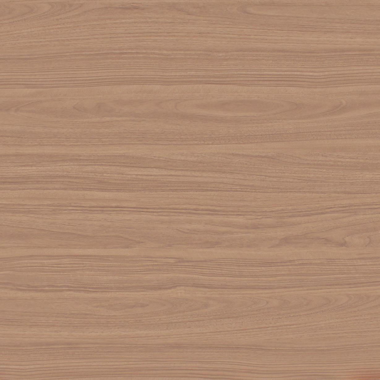 Caracalla Chairo.png